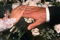 النهار تساعدك لتحقيق حلمك و دخول القفص الذهبي