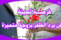 جميلة تشغل منصب مرموق ينقصها زوجا يمنحها الاهتمام