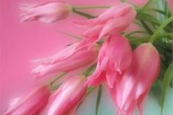 النهار تساعدك لدخول بيت الزوجية