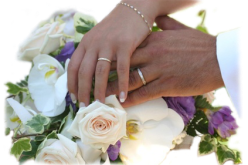 ‮”‬النهار‮” ‬تجمع بين أكثر من‮ ‬100‮ ‬شاب وشابة في‮ ‬الحلال‮ ‬