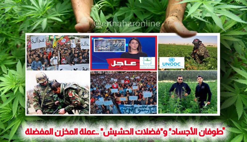 “طوفان الأجساد” و”فضلات الحشيش” ..عملة المخزن المفضلة