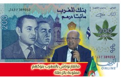 بالفيديو مساهل: “ماتقارنوناش” بالمغرب الذي يستثمر أموال “الزطلة”