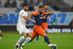الفرنسيون يُشيدون بـ “دولور”