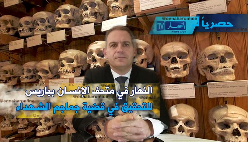 بالفيديو.. حوار حصري لـ”النهار” : إجراءات إسترجاع الجماجم ستأخد وقتا