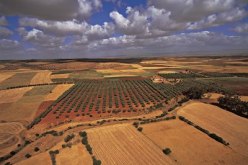 23 مليون متر مكعب لسقي سهلي المحمدية و سيق بمعسكر