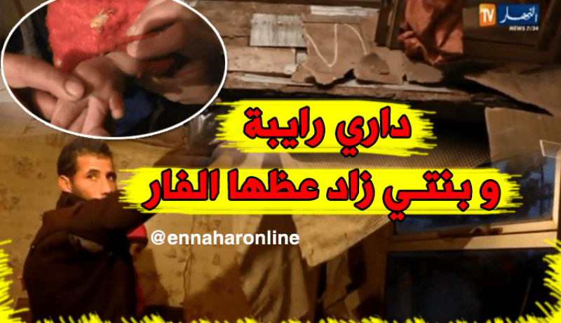 عائلة جمالي بالطارف تطالب بسكن يحمي أطفالها من الفئران