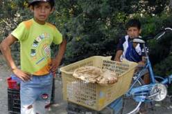 نساء يبعن خبز الدار والكسكسي وأطفال يتربصون بالأثرياء لحمل أغراضهم مقابل 10 دنانير