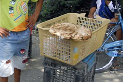 يغتنمن فرصة رمضان من كل سنة :نساء تحوّلن الدّقيق إلى مال.. وتصنعن من الديول والمطلوع الثروة