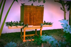 عصافير في الصندوق… هو أولادك أو ذكرك لله