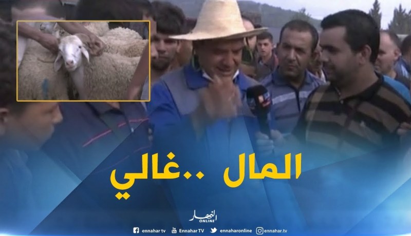 أضاحي العيد لمن إستطاع إليها سبيلا