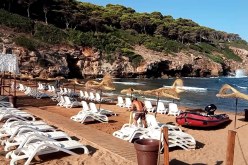 شركات عالمية لتسيير مركبات «القرن الذهبي»..و«مــطــاريس» و «CET»