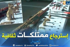 إسترجاع أكثر من 4 آلاف ممتلك ثقافي وتوقيف 43 متورط