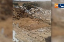 عين تموشنت: حجز 3 قناطير من اللحوم البيضاء الفاسدة بالطريق الوطني رقم 108