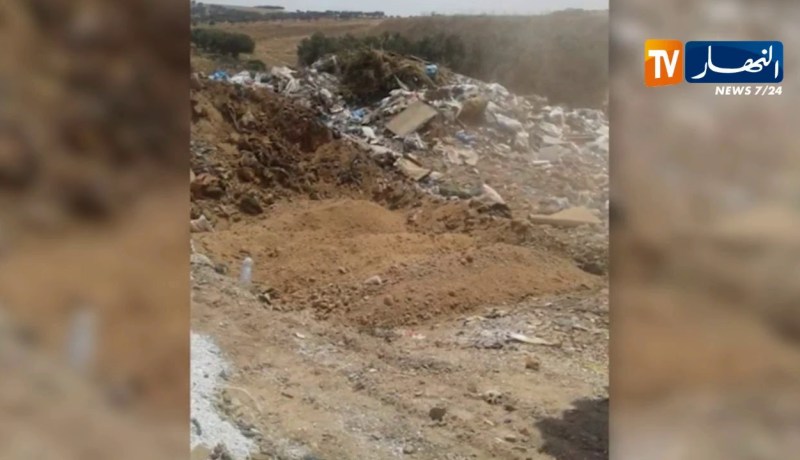 عين تموشنت: حجز 3 قناطير من اللحوم البيضاء الفاسدة بالطريق الوطني رقم 108