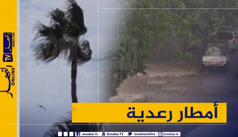 تنبيه..استمرار تساقط أمطار رعدية على السواحل الشرقية