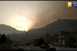 بجاية: شاهد إحدى الحرائق المندلعة اليوم  في أماكن عدة بغابات الولاية