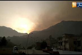 بجاية: شاهد إحدى الحرائق المندلعة اليوم  في أماكن عدة بغابات الولاية