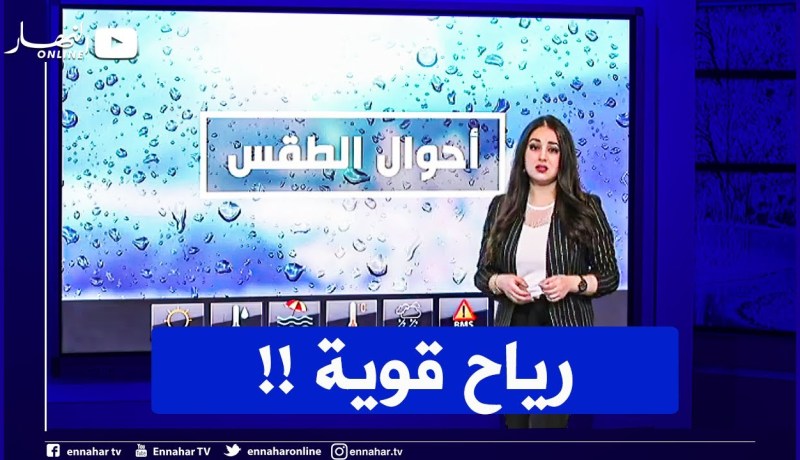 “سامي عقلي : “يجب محاربة الثقل الإداري والبيروقراطية .. والوقت هو العدو الوحيد للجزائر
