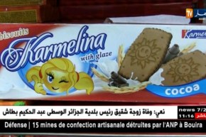 تجارة/ البسكويت ممنوع من الإستيراد…هل سيرفع المنتوج المحلي التحدي ؟