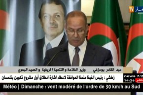 وزير الفلاحة :”المشاريع مكّنت المناطق الحدودية من إنتاج 587 مليار دينار من المنتوجات الزراعية”