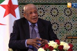 عبد القادر زوخ: المقاولين هم من يتحملون مسؤولية تسليم سكنات بعيوب ونحن من نتابعهم قضائيا