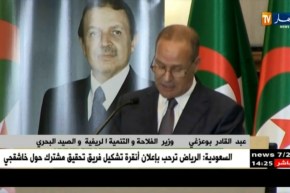 وزير الفلاحة:سلّمنا أزيد من 320 ألف هكتار من الأراضي عن طريق الإمتياز في المناطق الحدودية”