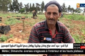 فلاحة: غياب اليد العاملة الشابة.. شيوخ و أفارقة لخدمة الأرض خلال شهر رمضان