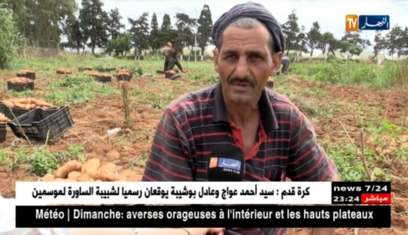 فلاحة: غياب اليد العاملة الشابة.. شيوخ و أفارقة لخدمة الأرض خلال شهر رمضان