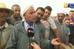 تجارة: أسعار الأضاحي تتراجع مقارنة بالعام الماضي وركود في عملية البيع والشراء