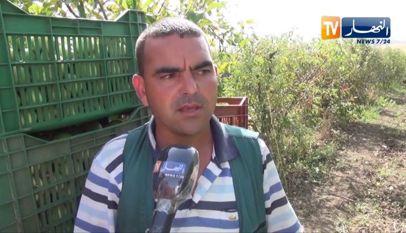 ميلة: مناطق جبلية تتحول إلى جنة من منتجات الفاكهة