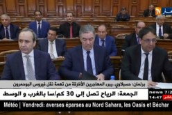برلمان: حسبلاوي..يبرء المهاجرين الأفارقة من تهمة نقل فيروس البوحمرون