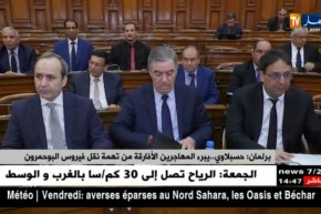 برلمان: حسبلاوي..يبرء المهاجرين الأفارقة من تهمة نقل فيروس البوحمرون