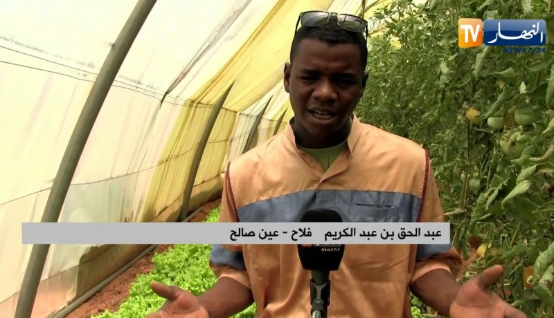 عين صالح: أراضي قاحلة تتحول لأخرى معطاء بفضل شباب طموح