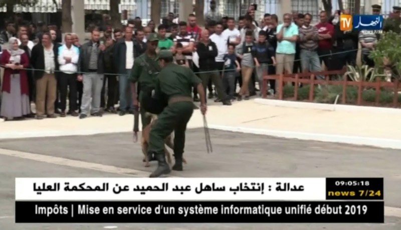 البليدة: عرض يبرز مدى جاهزية أفراد الدرك الوطني في حالة تعرضهم للإعتداء