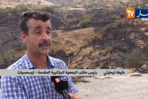 تيسمسيلت/ موجة الحرائق تواصل الزحف على الغطاء النباتي