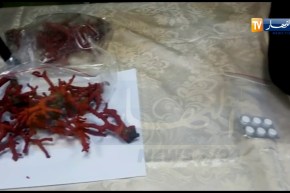 جيجل: الإطاحة بشبكة مختصة في المتاجرة بالمرجان