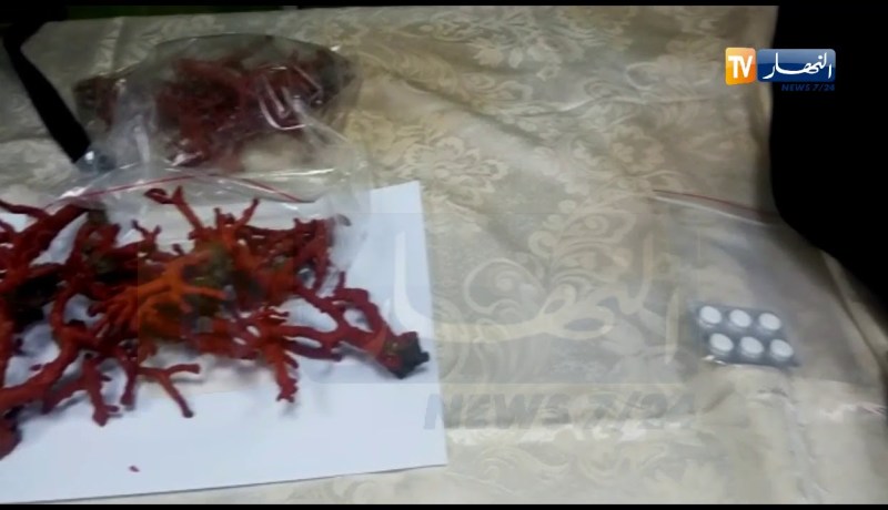 جيجل: الإطاحة بشبكة مختصة في المتاجرة بالمرجان