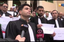 القضاة والمحامين في وقفة لدعم الحراك الشعبي بمجلس قضاء تلمسان
