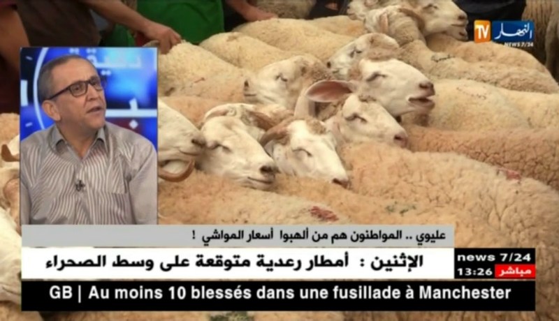 عليوي…”لو لم تكن تعليمات من رئيس الجمهورية  لما طبقها أحد”