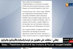 الأنتربول يصدر مذكرة توقيف دولية ضد أمير بوخرص منذ جوان 2018