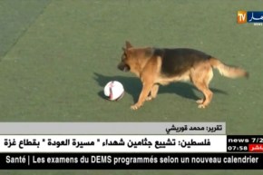 لانقل مباشر لمبارياتنا ورؤساء بشعار ..الغاية تبرّر الوسيلة !!