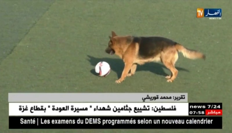 لانقل مباشر لمبارياتنا ورؤساء بشعار ..الغاية تبرّر الوسيلة !!