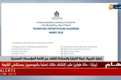 تجارة خارجية: غرفة التجارة والصناعة تكشف عن قائمة المؤسسات المصدرة