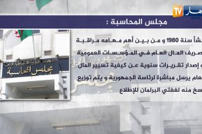 رقابة: أليات مكافحة الفساد..تعددت الأسماء و النتيجة “صفر”