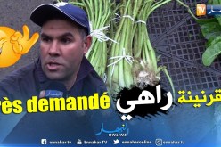 مجتمع: القرنينة..من غذاء للفقراء إلى الأكثر طلبا في السوق