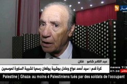 ولاية سعيدة تحتفل باليوم الوطني للفنان
