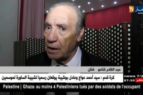 ولاية سعيدة تحتفل باليوم الوطني للفنان