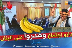 الشيخ النوي: جماعة الأفلان غلقو البرلمان دارو إجتماع والهدرة على البنان