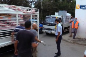 سكن: ترحيل 88 عائلة من الحي القصديري المجاهد ببلدية جسر قسنطينة