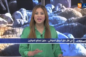 تساؤلات: من أجل شراء أضحية العيد   نحو ترخيص نقاط بيع تراعي الإجراءات الوقائية